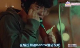 旅店女主人在线观看,旅店女主人在线观看的浪漫奇遇